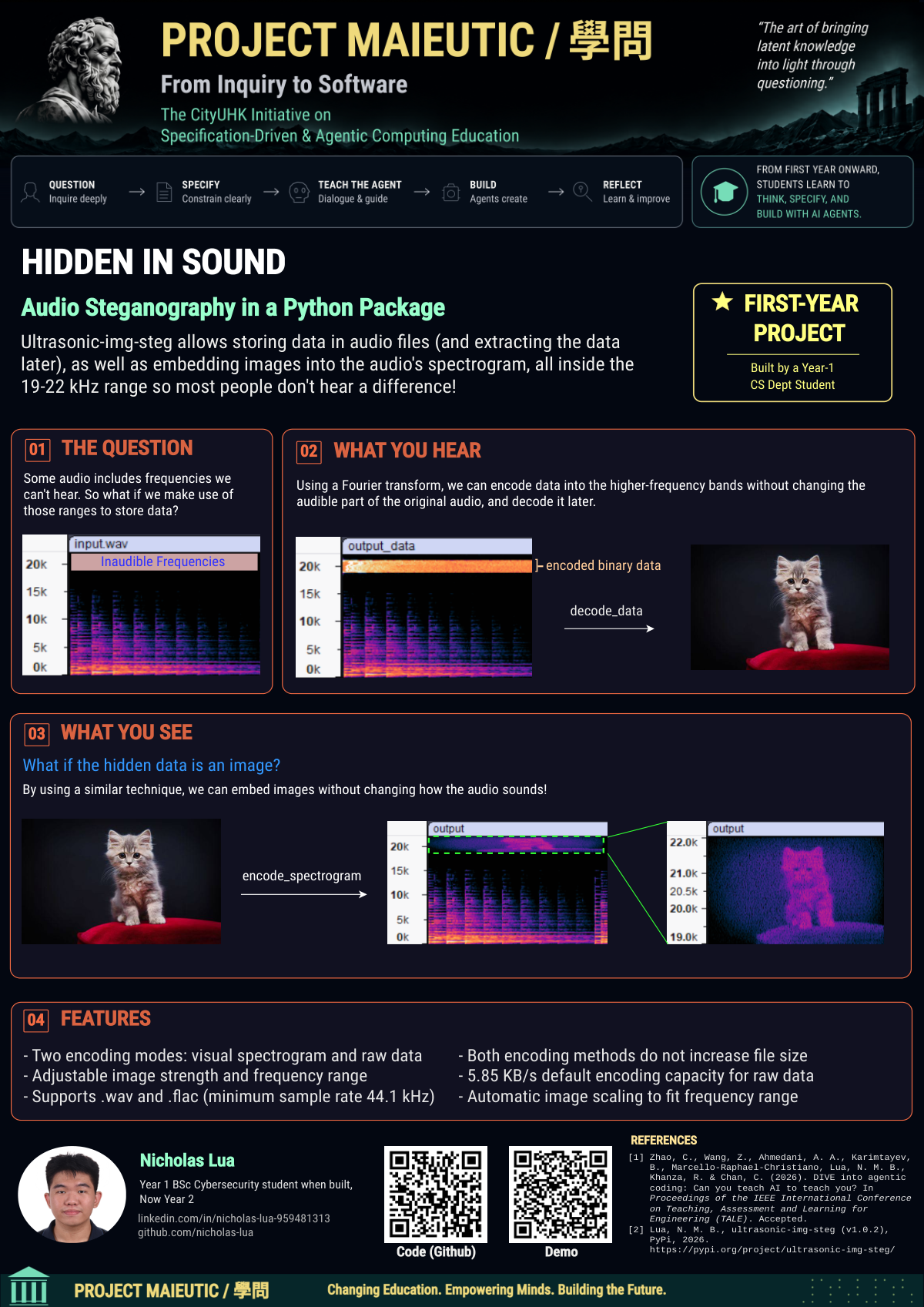 ultrasonic-img-steg poster